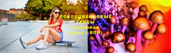 кокс Дмитровск