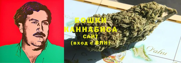 тгк Арсеньев