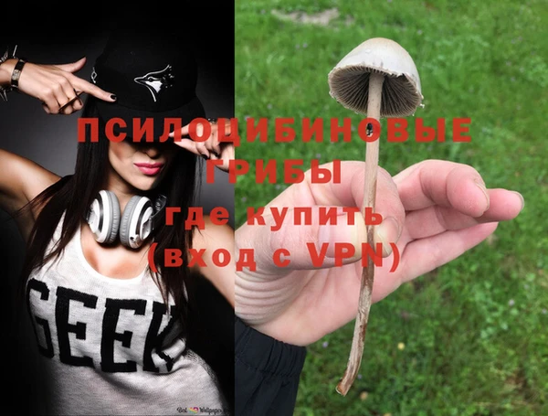тгк Арсеньев